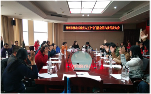 图为柳北区五个专门协会第六次代表大会现场